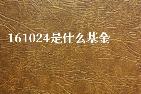 161024是什么基金_https://wap.jnlaobingbanjia.com_财经资讯_第1张