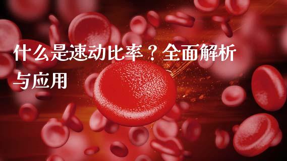 什么是速动比率？全面解析与应用_https://wap.jnlaobingbanjia.com_财务管理_第1张