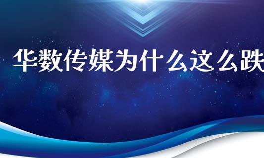 华数传媒为什么这么跌_https://wap.jnlaobingbanjia.com_证券公告_第1张