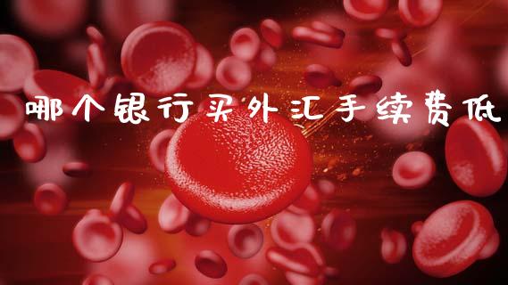 哪个银行买外汇手续费低_https://wap.jnlaobingbanjia.com_财经资讯_第1张