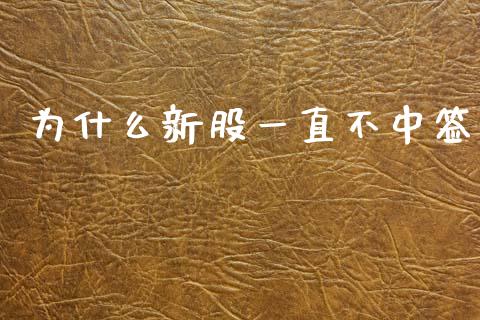 为什么新股一直不中签_https://wap.jnlaobingbanjia.com_财务管理_第1张
