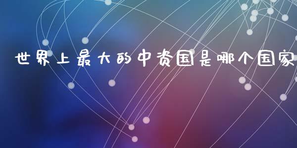 世界上最大的中资国是哪个国家_https://wap.jnlaobingbanjia.com_财务管理_第1张