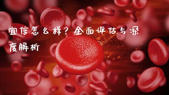 宜信怎么样？全面评估与深度解析_https://wap.jnlaobingbanjia.com_财经资讯_第1张