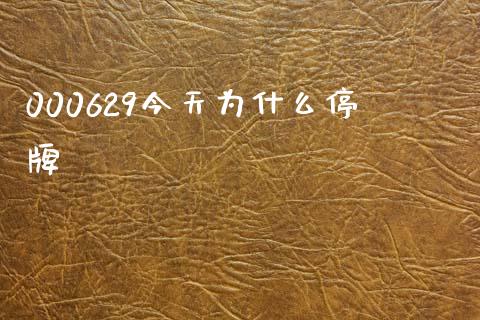 000629今天为什么停牌_https://wap.jnlaobingbanjia.com_财务管理_第1张