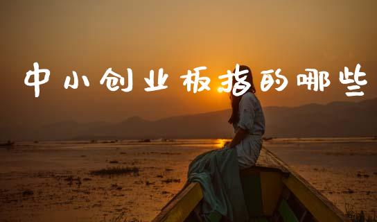 中小创业板指的哪些_https://wap.jnlaobingbanjia.com_股市行情_第1张