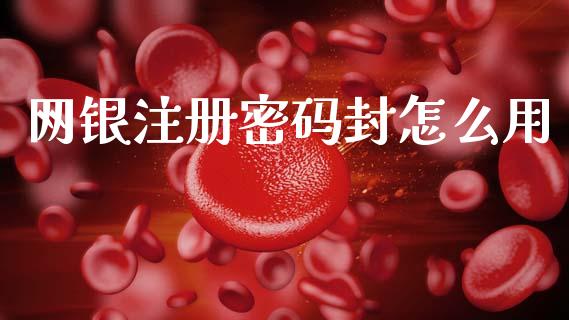 网银注册密码封怎么用_https://wap.jnlaobingbanjia.com_证券公告_第1张