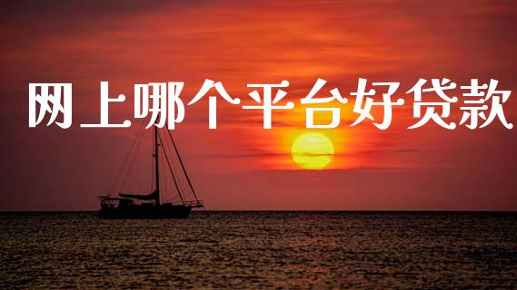 网上哪个平台好贷款_https://wap.jnlaobingbanjia.com_证券公告_第1张