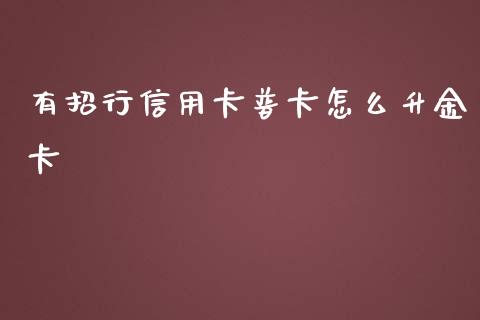 有招行信用卡普卡怎么升金卡_https://wap.jnlaobingbanjia.com_财经资讯_第1张