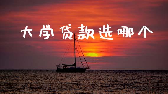 大学贷款选哪个_https://wap.jnlaobingbanjia.com_股市行情_第1张