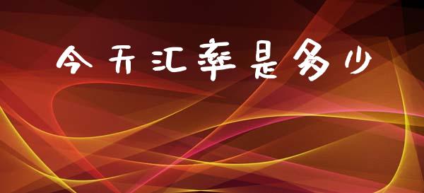 今天汇率是多少_https://wap.jnlaobingbanjia.com_财务管理_第1张