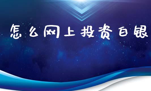 怎么网上投资白银_https://wap.jnlaobingbanjia.com_财务管理_第1张