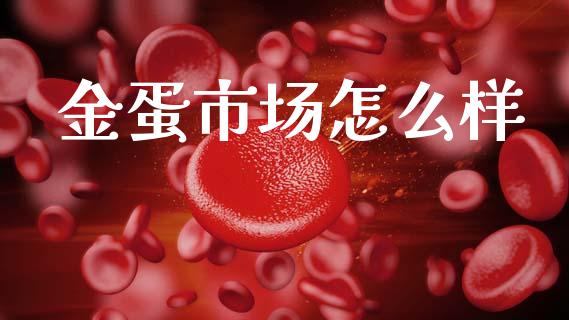 金蛋市场怎么样_https://wap.jnlaobingbanjia.com_财务管理_第1张