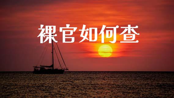 裸官如何查_https://wap.jnlaobingbanjia.com_金融理财_第1张