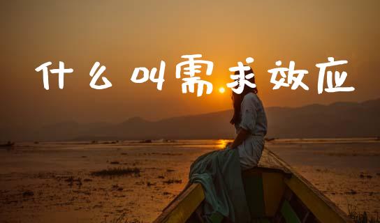 什么叫需求效应_https://wap.jnlaobingbanjia.com_财务管理_第1张