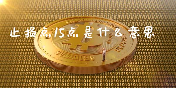 止损点15点是什么意思_https://wap.jnlaobingbanjia.com_财务管理_第1张