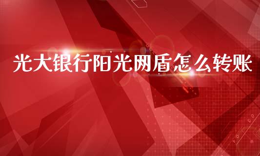 光大银行阳光网盾怎么转账_https://wap.jnlaobingbanjia.com_证券公告_第1张