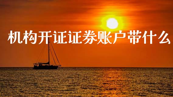 机构开证证券账户带什么_https://wap.jnlaobingbanjia.com_股市行情_第1张