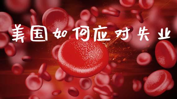 美国如何应对失业_https://wap.jnlaobingbanjia.com_财务管理_第1张