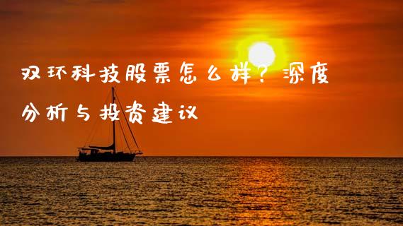 双环科技股票怎么样？深度分析与投资建议_https://wap.jnlaobingbanjia.com_股市行情_第1张