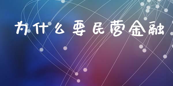 为什么要民营金融_https://wap.jnlaobingbanjia.com_证券公告_第1张