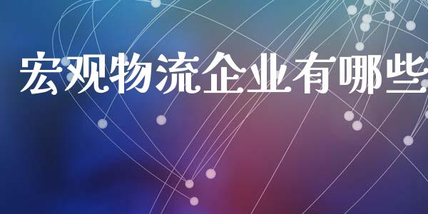 宏观物流企业有哪些_https://wap.jnlaobingbanjia.com_财经资讯_第1张