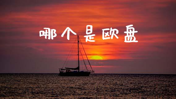 哪个是欧盘_https://wap.jnlaobingbanjia.com_股市行情_第1张
