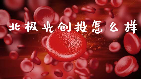 北极光创投怎么样_https://wap.jnlaobingbanjia.com_金融理财_第1张