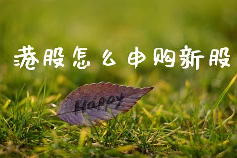 港股怎么申购新股_https://wap.jnlaobingbanjia.com_财经资讯_第1张