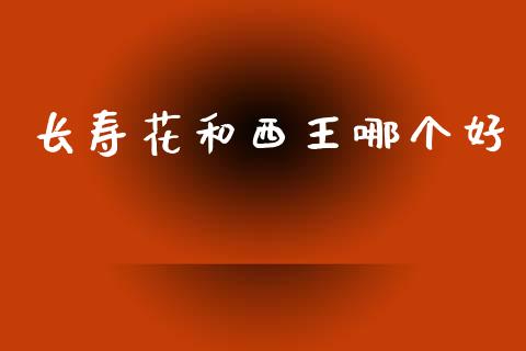 长寿花和西王哪个好_https://wap.jnlaobingbanjia.com_财经资讯_第1张