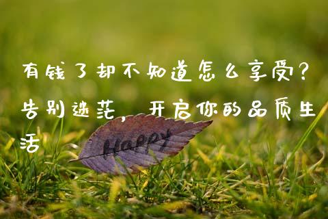 有钱了却不知道怎么享受？告别迷茫，开启你的品质生活_https://wap.jnlaobingbanjia.com_证券公告_第1张