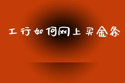 工行如何网上买金条_https://wap.jnlaobingbanjia.com_金融理财_第1张