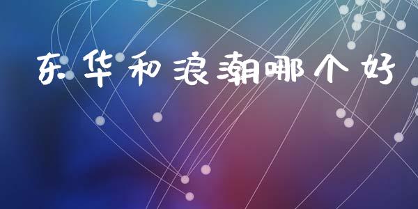 东华和浪潮哪个好_https://wap.jnlaobingbanjia.com_财经资讯_第1张