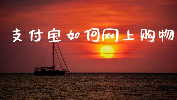支付宝如何网上购物_https://wap.jnlaobingbanjia.com_基金分析_第1张