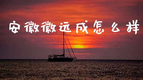 安徽徽远成怎么样_https://wap.jnlaobingbanjia.com_财经资讯_第1张