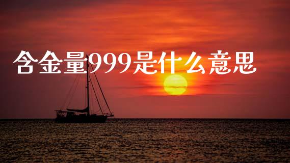 含金量999是什么意思_https://wap.jnlaobingbanjia.com_证券公告_第1张