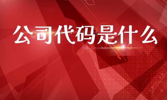 公司代码是什么_https://wap.jnlaobingbanjia.com_股市行情_第1张