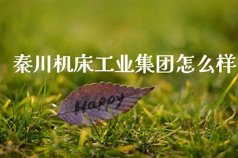 秦川机床工业集团怎么样_https://wap.jnlaobingbanjia.com_基金分析_第1张