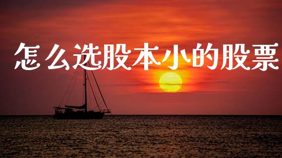 怎么选股本小的股票_https://wap.jnlaobingbanjia.com_股市行情_第1张