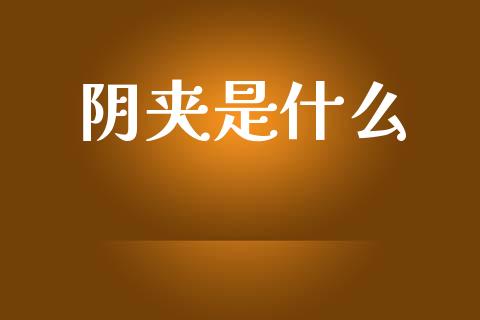 阴夹是什么_https://wap.jnlaobingbanjia.com_基金分析_第1张