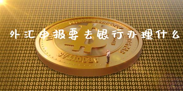外汇申报要去银行办理什么_https://wap.jnlaobingbanjia.com_股市行情_第1张