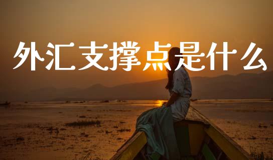 外汇支撑点是什么_https://wap.jnlaobingbanjia.com_金融理财_第1张