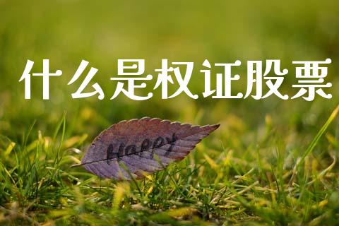 什么是权证股票_https://wap.jnlaobingbanjia.com_财经资讯_第1张