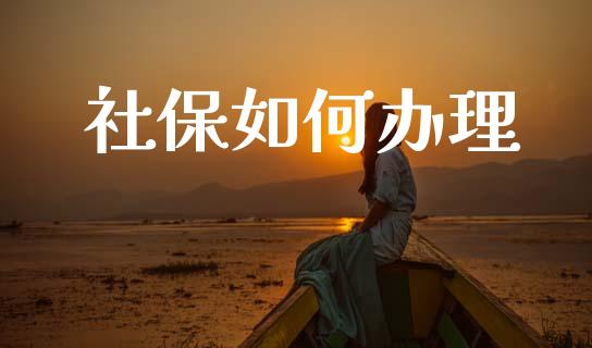 社保如何办理_https://wap.jnlaobingbanjia.com_股市行情_第1张