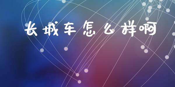 长城车怎么样啊_https://wap.jnlaobingbanjia.com_财务管理_第1张