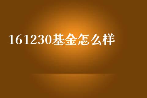 161230基金怎么样_https://wap.jnlaobingbanjia.com_股市行情_第1张