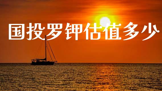 国投罗钾估值多少_https://wap.jnlaobingbanjia.com_股市行情_第1张