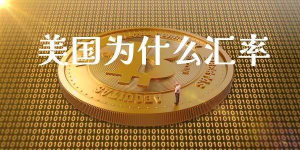 美国为什么汇率_https://wap.jnlaobingbanjia.com_股市行情_第1张