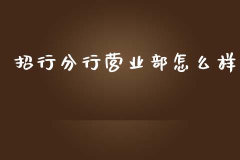 招行分行营业部怎么样_https://wap.jnlaobingbanjia.com_股市行情_第1张