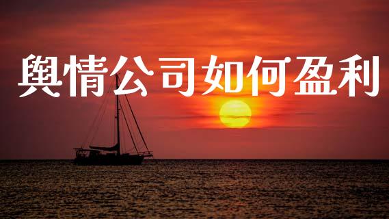 舆情公司如何盈利_https://wap.jnlaobingbanjia.com_证券公告_第1张