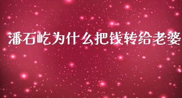 潘石屹为什么把钱转给老婆_https://wap.jnlaobingbanjia.com_基金分析_第1张